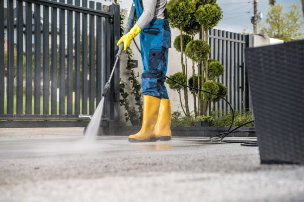 Local Pressure Washing Services in Mathews, LA